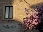 264/1000, "Anticoli fiorita". Anticoli Corrado, 8 aprile 2014.