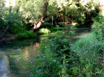 609/1000, Il fiume Aniene ad Anticoli Corrado il 15 giugno 2011.