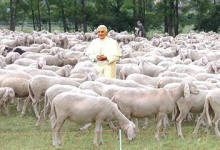 "Papa di Pecore?" (gioved 29 aprile 2010)